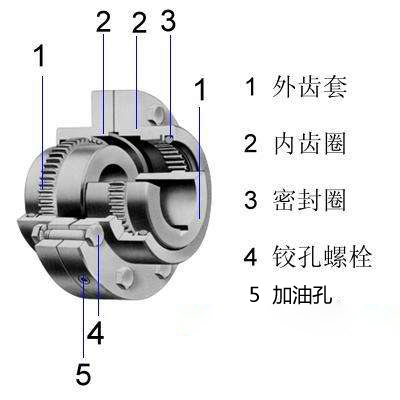 鼓形齒式聯(lián)軸器結構